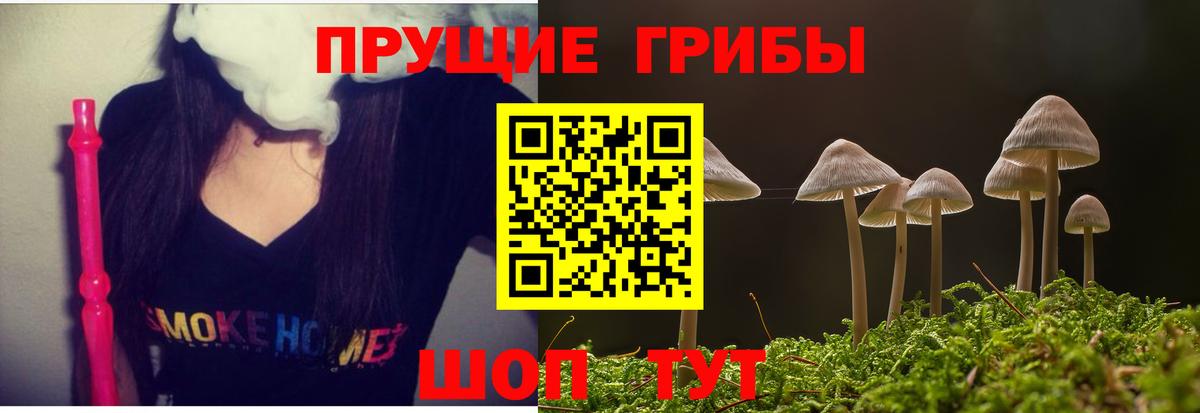 Псилоцибиновые грибы Cubensis Архангельск