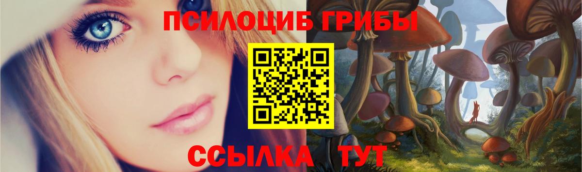 Псилоцибиновые грибы Magic Shrooms  Вход с VPN  купить   Архангельск 